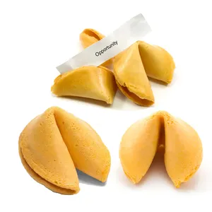 Chinese Biscuit manufacturer wholesale custom fortune cookies Popular text snacks