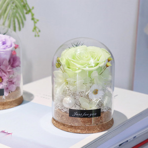 Cúpula de Cristal de Alta Gama con Rosas Preservadas, La Bella y la <span class=keywords><strong>Bestia</strong></span>, Flor Eterna Perfecto para el Dí<span class=keywords><strong>a</strong></span> de San Valentín, Dí<span class=keywords><strong>a</strong></span> de la Madre - Product Image 5