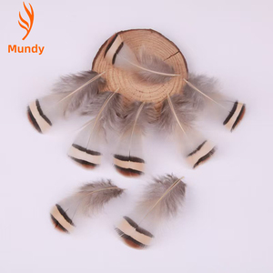 Accessoires de bijouterie artisanaux, 100 pièces, plumes de <span class=keywords><strong>faisan</strong></span> chukar naturelles de 4 à 8 cm, petite taille, plumes de <span class=keywords><strong>faisan</strong></span>, décoration pour la fête des mères, décoration de mariage - Product Image 3
