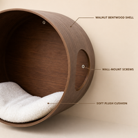 Lit mural pour chat en bois courbé de noyer avec coussin en peluche, niche douce pour chats d'intérieur avec ventilation latérale, gain de place