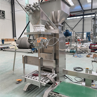 Automatische Verpackungsmaschine für kleine Beutel, 25 kg Großbeutel-Verpackungsmaschine für Kakaopulver