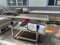 Productielijn voor het wassen, blancheren en koelen van BSF-larven, continu insectenlarvenverwerkingsapparatuur, aanpasbaar, CE & ISO gecertificeerd