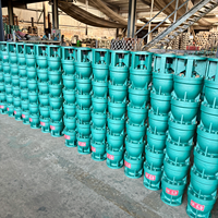 Pompe à eau submersible pour puits profond de haute qualité, 10 pouces, en fonte, 125 m³/h, hauteur de refoulement 144 m, 90 kW, 380 V, triphasée, pour l'irrigation des terres agricoles