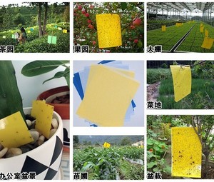 Tablero adhesivo para insectos, tablero amarillo de doble cara, tablero amarillo para insectos, pegatina para atrapar insectos de jardín agrícola - Product Image 5