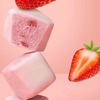 Zhongbao Gedroogde Zoete Bulk Promotionele Gezonde FD Yoghurtblokjes Fruit Aardbei Blauwe Bes Klaar om te eten Gemaakt in China