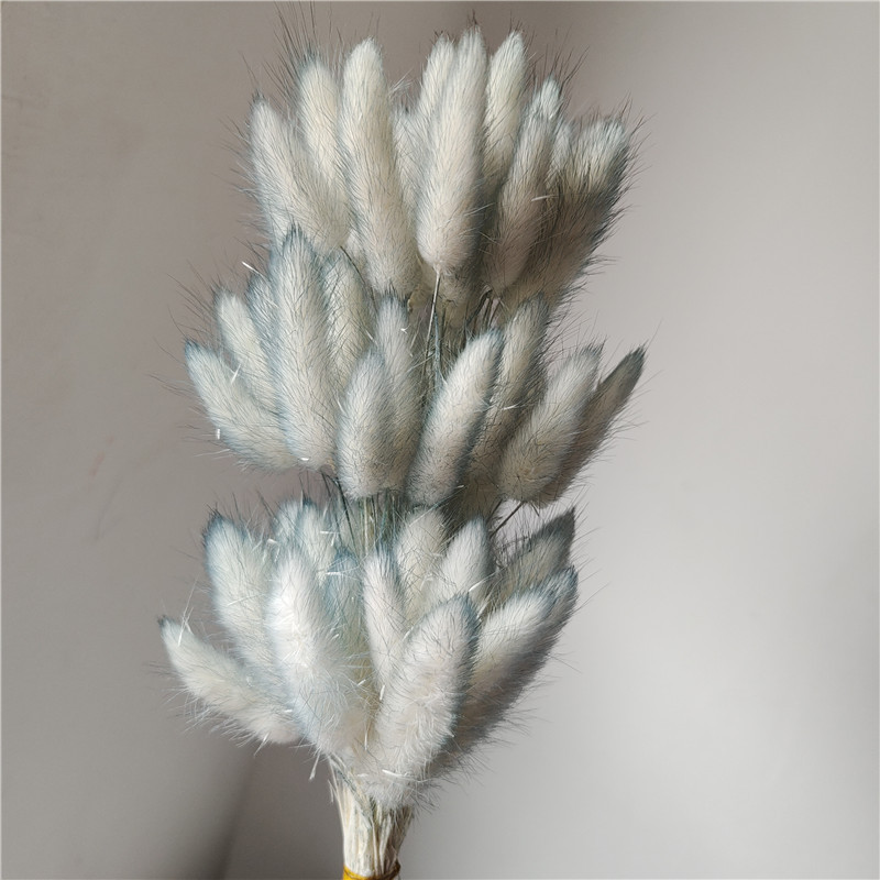 Blue 2