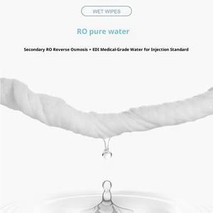 75 Pezzi Salviette Umidificate per la Pulizia degli Animali Domestici in Secchio, Formula Profonda pH Bilanciato Senza Profumo per Deodorizzazione e Cura - Personalizzabile OEM/ODM - Product Image 3