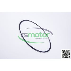 Anillo de sellado original OEM para piezas de motor de gas natural MWM - Product Image 2