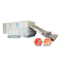 Machine de séchage de tomates 300 kg, déshydrateur de tomates