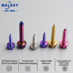 MALAXY- Pernos de Titanio de Alta Calidad para Modificación de Motocicletas - Product Image 1
