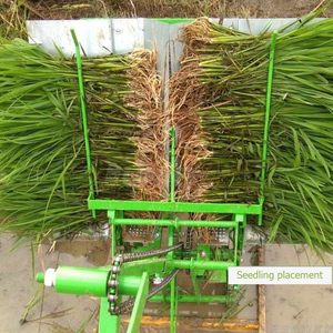 低价2排迷你手动插秧机手动水稻种植机 - Product Image 4