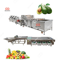 Gelgoog Kleine Ananas Durian Bosbessen Productielijn Met Luchtbel Reiniging En Verpakking Voedselverwerkende Machine