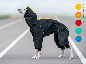 Traje Impermeable <span class=keywords><strong>para</strong></span> Perros de Raza Hound, Impermeable <span class=keywords><strong>para</strong></span> Galgos - Product Image 3