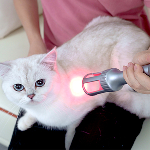 Macchina per Terapia Laser Medica e Fisioterapia Veterinaria 10w-30w 810nm 980nm per Riabilitazione Animale - Product Image 6