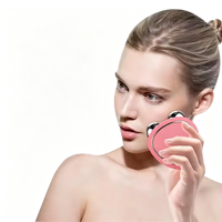 Masseur facial portable à micro-courant - Raffermissement de la peau, lifting, anti-âge, réduction des rides, soin de l'acné, rechargeable par USB