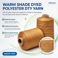 Fil de polyester DTY teint en teinte chaude de qualité AA 150D/48F DDB NIM, haute résistance et uniformité pour les tissus tricotés et tissés