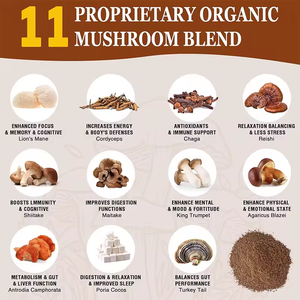 Café instantané biologique aux champignons OEM ODM, mélange Crinière de lion et Chaga pour la concentration et le soutien immunitaire, dose adulte 5g - Product Image 6