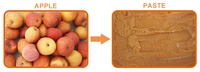 Fc-310 Commerciële Groente-en Mango Apple Extractor Machine Pulping Machine / Fruit Pulper,Juicer Blender