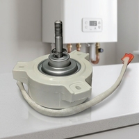 Motor de Ventilador de CC de 40V 55W sin Escobillas con Rodamientos de Bolas y Carcasa de Plástico, 3600 RPM, Clasificación IP55, para Calentador de Agua a Gas, Certificado CE