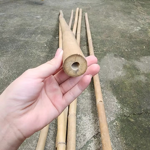 เสาค้ำต้นไม้ทำจากไม้ไผ่ธรรมชาติ เสาค้ำต้นไม้สำหรับสวน เป็นมิตรกับสิ่งแวดล้อม เสาค้ำต้นไม้สำหรับเพาะชำทำจากไม้ไผ่ตงกิน - Product Image 2