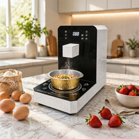 Machine à cuire les nouilles ramen, style coréen, équipement de cuisine commercial, cuisson électrique, acier inoxydable 304, 3000-5000W