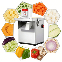 Commerciële groente-snijmachine motor aardappel & fruit 220V CE gecertificeerd Duitsland import voor Duitse distributeurs