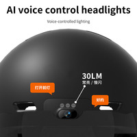 Con función AI ODM Usb recargable impermeable seguridad motocicleta casco Cámara bicicleta casco azul Toother casco inteligente