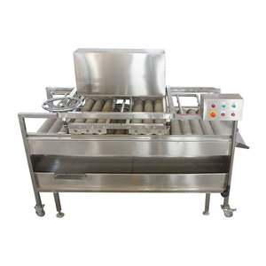 Máquina Industrial Yunqingtech para Lavar Sandías y Limpiar Caña de Azúcar y Frutas - Product Image 2