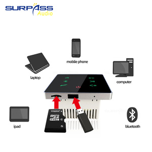 Amplificateur audio de qualité supérieure PW215H pour hôtels et systèmes musicaux intelligents à domicile - Product Image 3