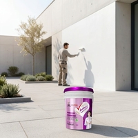 Peinture latex nano inorganique extérieure imperméable silicone acrylique f...
