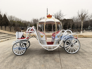Carruaje de Cenicienta en Venta, Transporte Especial, Carruaje de Fantasía de Princesa Calabaza, Carruaje Eléctrico en Venta - Product Image 4