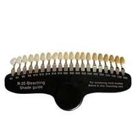 Guía de Tonos Dentales Profesional de Fábrica Directa R20, Espejo Digital Multiusos para Blanqueamiento Dental y Accesorios