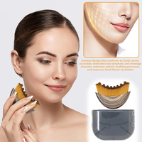 Outil de beauté portable Brosse sèche pour le visage Masseur de contour facial Sculpture de la mâchoire Brosse douce à poils doux pour le massage lymphatique du visage