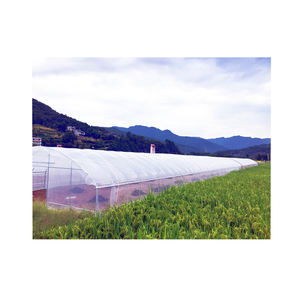 <span class=keywords><strong>Casa</strong></span> <span class=keywords><strong>verde</strong></span> de plástico <span class=keywords><strong>La</strong></span> Venta caliente más barata Agrícola/Comercial/Industrial Película de plástico Invernadero Túnel Caminar en <span class=keywords><strong>casa</strong></span> - Product Image 4
