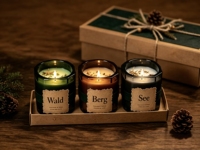 Ensemble de bougies parfumées Relaxlines Alpine Forest, cire de soja, pots en verre foncé, coffret cadeau de luxe pour la maison, les fêtes, les cadeaux de pendaison de crémaillère