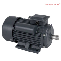 Moteur à induction monophasé Ariely Electric 1HP 2HP 3HP 220V-230V, efficacité IE3, protection IP44/IP54, certifié CCC/CE, YL YC