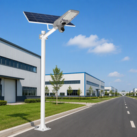 Lampe de surveillance solaire 360° à prix raisonnable, 30W, étanche, avec panneau solaire intégré, pour éclairage public LED