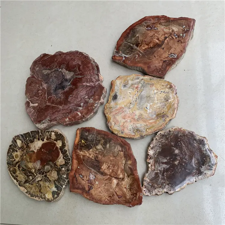 도매 가격 다른 크기 천연 나무 화석 슬라이스 reiki 치유 돌 컵 받침 및 placemats 홈 장식