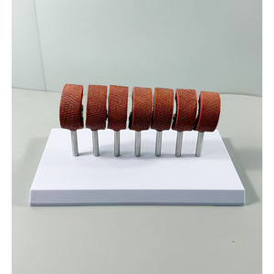 Modelo de Enseñanza de Anatomía Humana para Ciencias Médicas: Pie Diabético para Educación en Endocrinología y Patofisiología, Escuela de Medicina - Product Image 5
