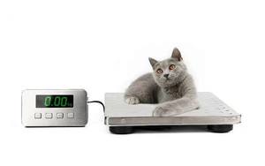 स्टेनलेस स्टील शिपिंग स्केल उच्च परिशुद्धता 30*30 सेमी 200 किलोग्राम - Product Image 2