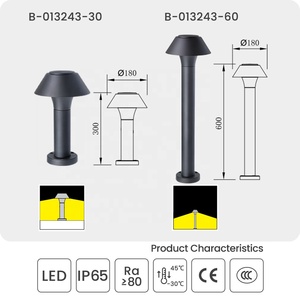 12W LED Garten leuchte für den Außenbereich IP65 Wasserdichte Rasen lampe für die Außen beleuchtung im Hof DC AC-Netzteil für die Landschaft - Product Image 2