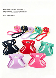 Custom Logo Designer Dog Harness and Leash Set, Adjustable Heavy Duty Pet Harness with Metal Buckles <b>for</b> <b>Walking</b> Training - Product Image 5