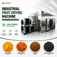 Déshydrateur Commercial Grande Capacité (1500-2000 kg) pour Fruits et Légumes, Séchoir à Mangues, Bananes et Ananas