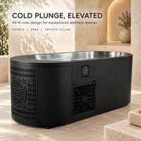 Baignoire de glace haut de gamme pour clubs privés avec refroidissement efficace, construction en acier inoxydable et personnalisation de la marque