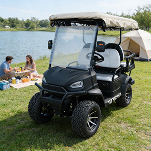 Carrito de Golf Eléctrico 2026 de Último Diseño con Tracción en las 4 Ruedas, Toldo y Cinturón de Seguridad, Certificado CE - Product Image 1