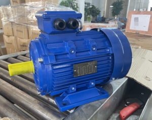 เครื่องกำเนิดไฟฟ้ากระแสสลับแบบอะซิงโครนัสสามเฟส YE2-90S-4 1.1 กิโลวัตต์ 1.5 แรงม้า 1460 รอบต่อนาที มอเตอร์เหนี่ยวนำไฟฟ้าสามเฟส - Product Image 6