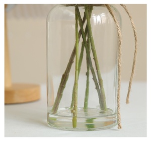 H751 2026 <span class=keywords><strong>Eucalipto</strong></span> Artificiale all'Ingrosso per Vaso d'Acqua, Decorazione Nordica per la Casa, Ornamento da Tavolo, Pianta Verde Artificiale di <span class=keywords><strong>Eucalipto</strong></span> - Product Image 6