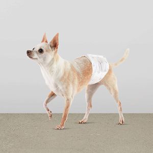 Ventes en gros de couches jetables pour chiens taille XL, couches douces pour animaux de compagnie pour chiens mâles et femelles - Product Image 4