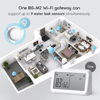 Capteur de fuite d'eau intelligent sans fil en plastique sensible IRS-WD1 avec passerelle Wi-Fi pour la détection (OEM)