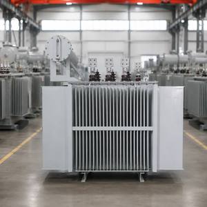 Transformateur de répartition immergé dans l'huile, triphasé 11 kV, en cuivre et aluminium amorphe, pour rénovation de réseau - Product Image 2